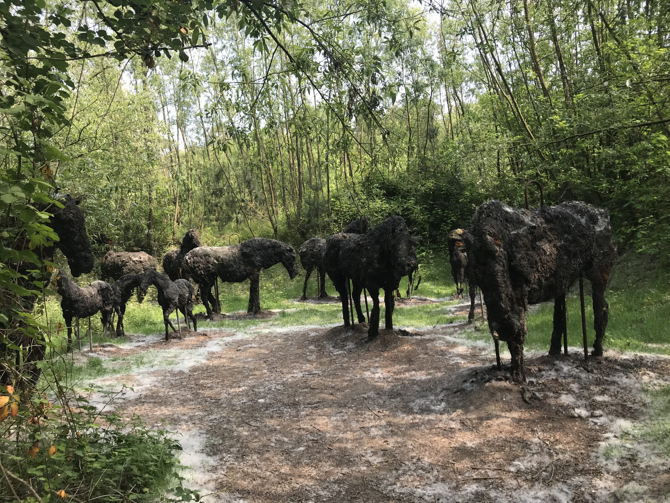 organisatieopstelling Utrecht